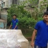 Premier House Shifting Service in Elephant Road l 01746300300